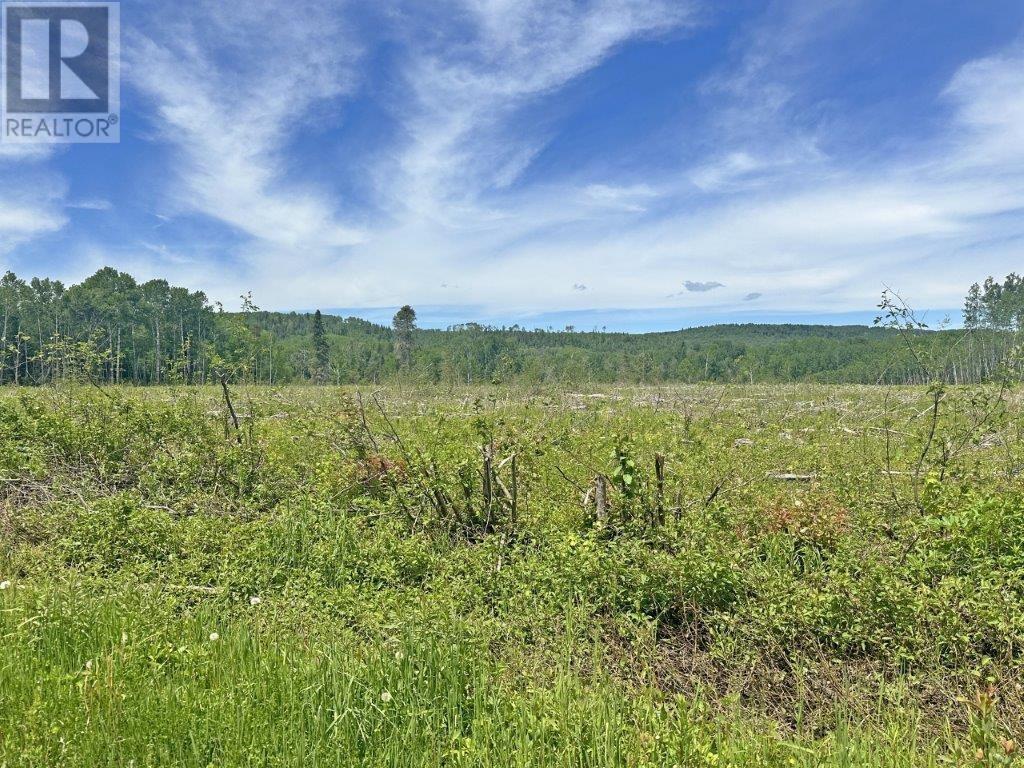 Part 1 Larson Road, Neebing, Ontario  P7L 0A4 - Photo 17 - TB250384