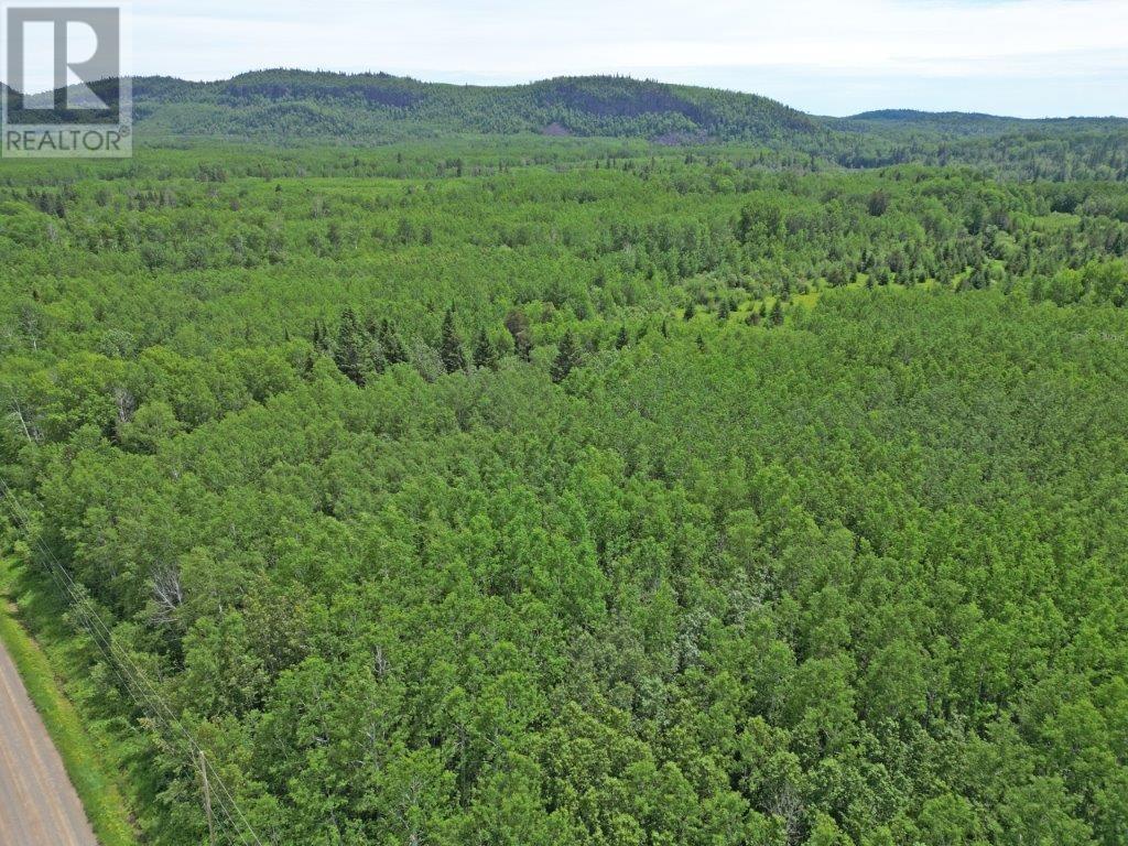 Part 1 Larson Road, Neebing, Ontario  P7L 0A4 - Photo 4 - TB250384