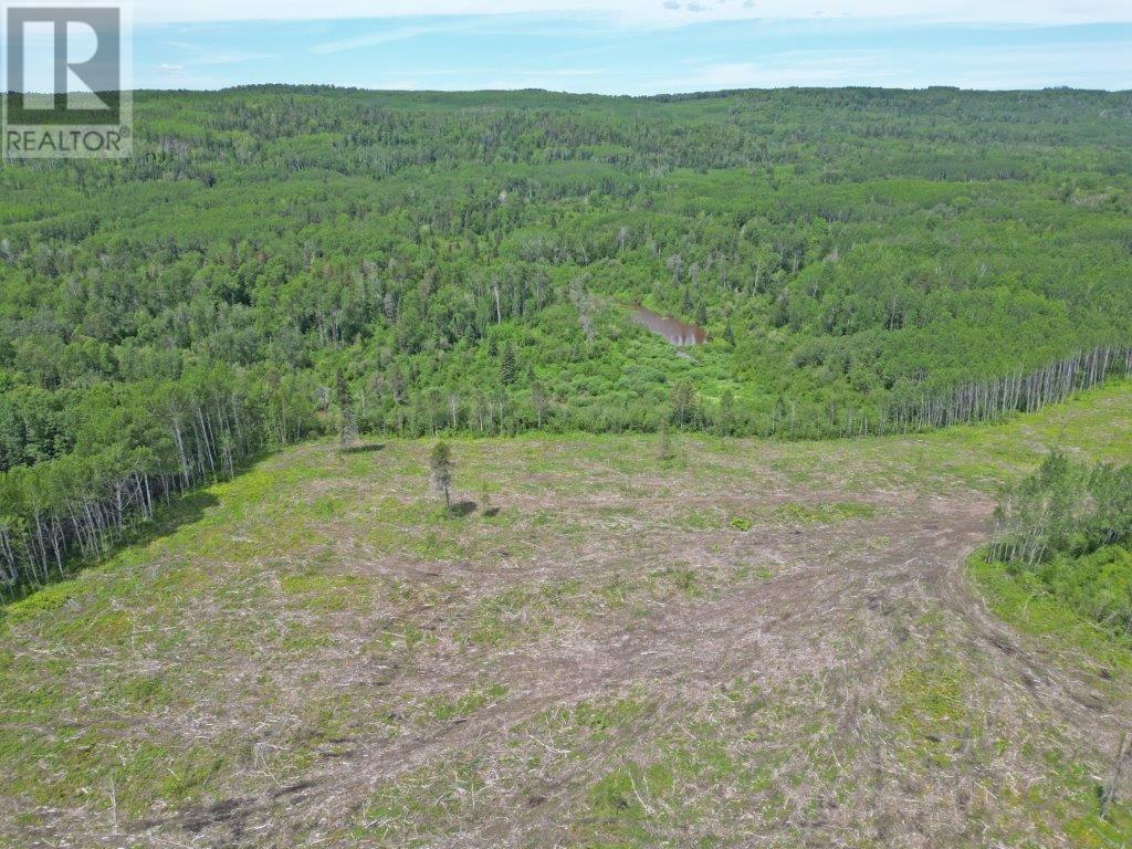 Part 1 Larson Road, Neebing, Ontario  P7L 0A4 - Photo 5 - TB250384