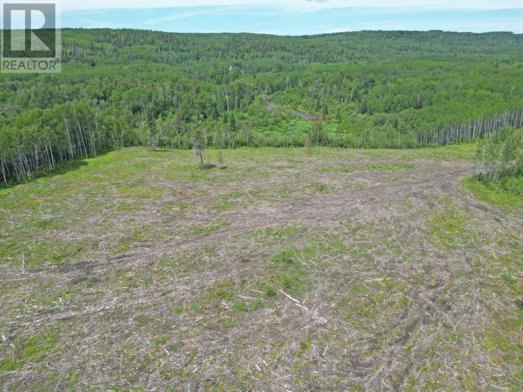 Part 1 Larson Road, Neebing, Ontario  P7L 0A4 - Photo 6 - TB250384