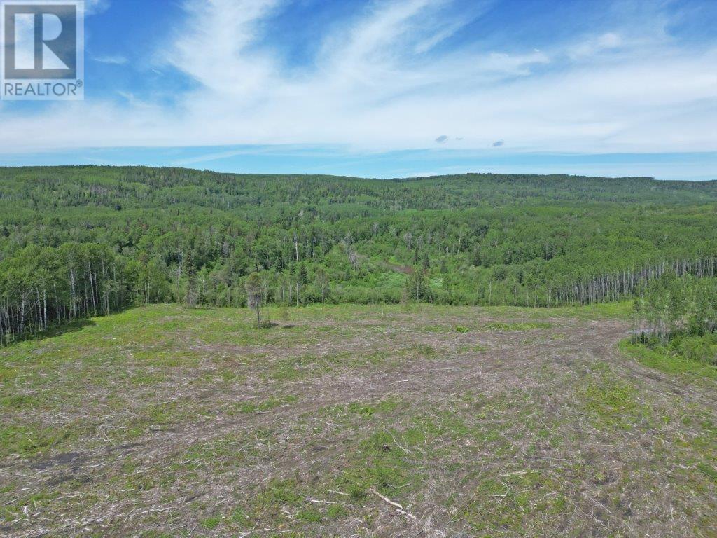 Part 1 Larson Road, Neebing, Ontario  P7L 0A4 - Photo 8 - TB250384