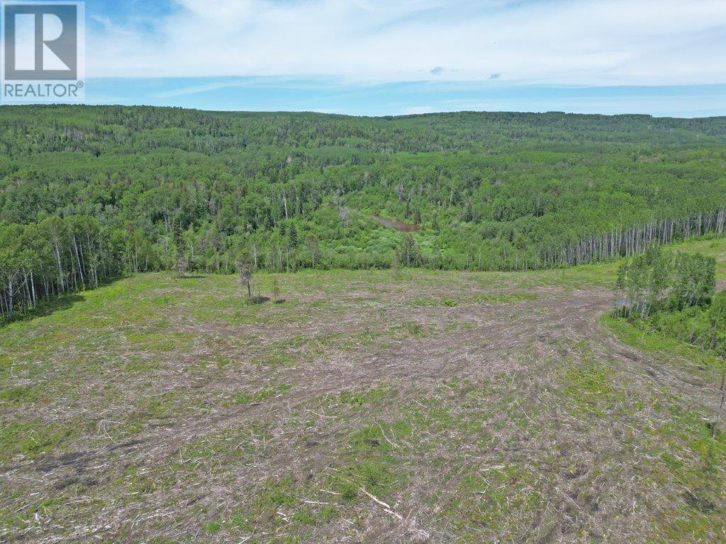 Part 1 Larson Road, Neebing, Ontario  P7L 0A4 - Photo 9 - TB250384