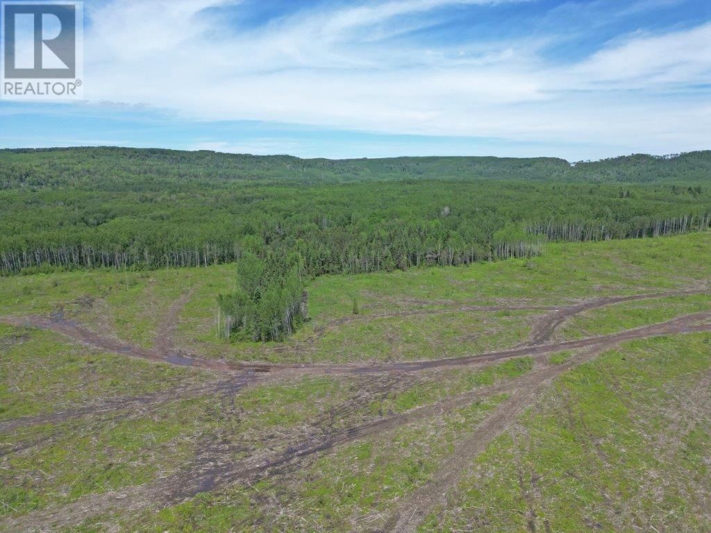 Part 3 Larson Road, Neebing, Ontario  P7L 0A4 - Photo 10 - TB250385