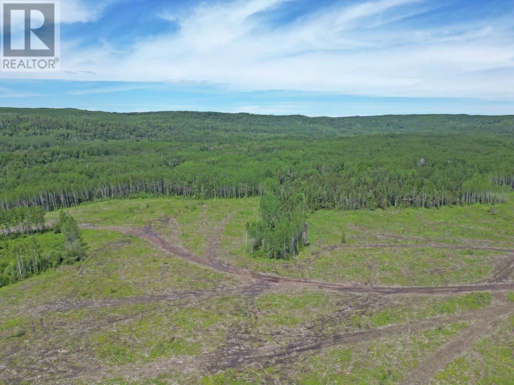 Part 3 Larson Road, Neebing, Ontario  P7L 0A4 - Photo 11 - TB250385