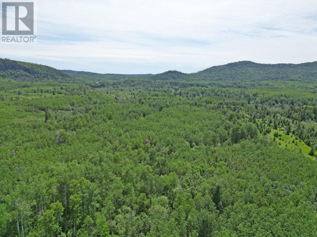 Part 3 Larson Road, Neebing, Ontario  P7L 0A4 - Photo 13 - TB250385
