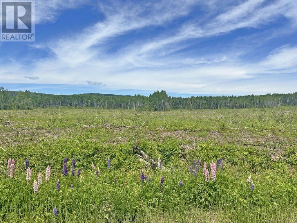 Part 3 Larson Road, Neebing, Ontario  P7L 0A4 - Photo 15 - TB250385