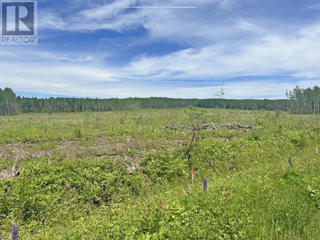 Part 3 Larson Road, Neebing, Ontario  P7L 0A4 - Photo 17 - TB250385