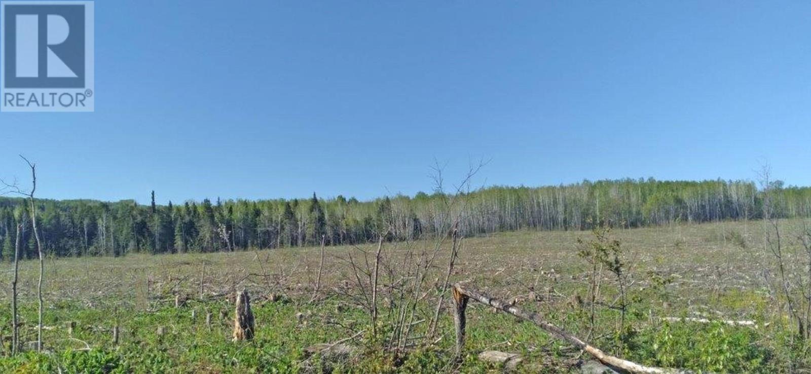 Part 3 Larson Road, Neebing, Ontario  P7L 0A4 - Photo 20 - TB250385