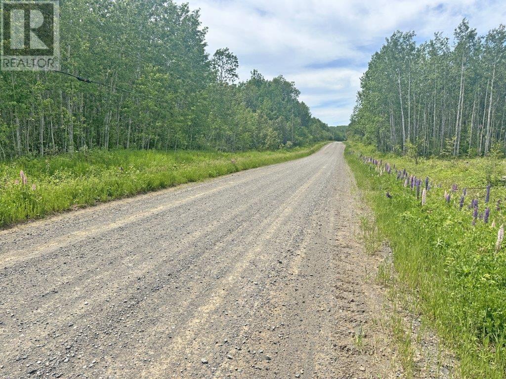 Part 3 Larson Road, Neebing, Ontario  P7L 0A4 - Photo 24 - TB250385