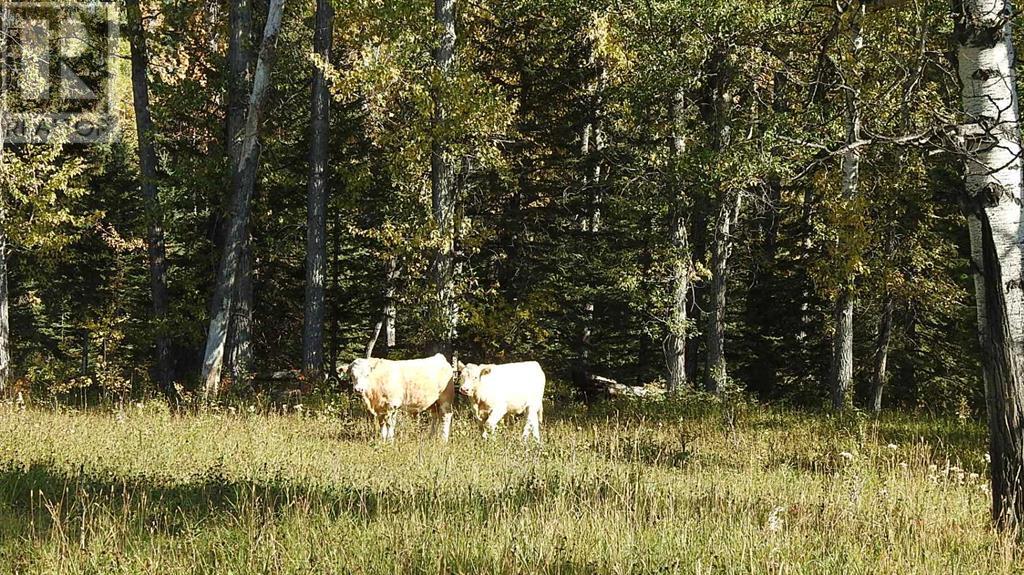 108 Acres Bordering Kananaskis, Rural Foothills County, Alberta  T0L 1K0 - Photo 15 - A2198444