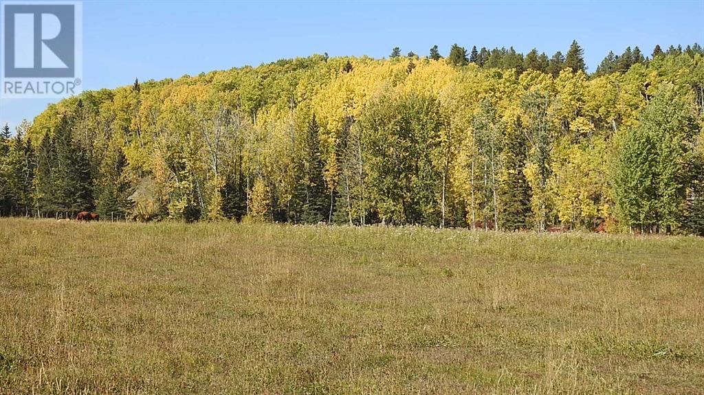 108 Acres Bordering Kananaskis, Rural Foothills County, Alberta  T0L 1K0 - Photo 17 - A2198444