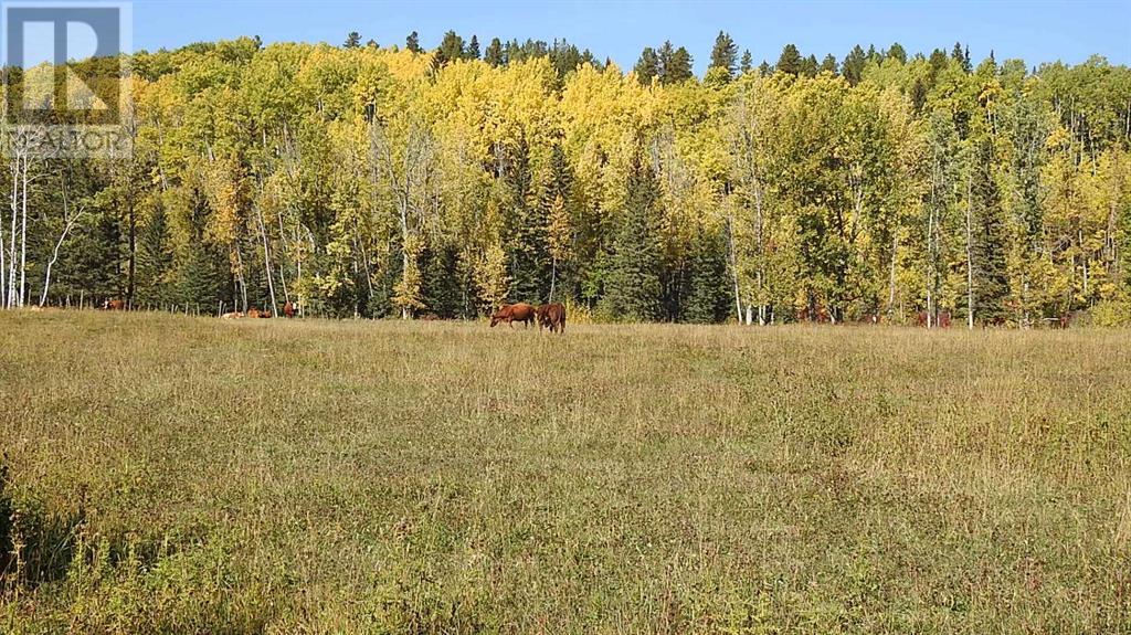 108 Acres Bordering Kananaskis, Rural Foothills County, Alberta  T0L 1K0 - Photo 20 - A2198444