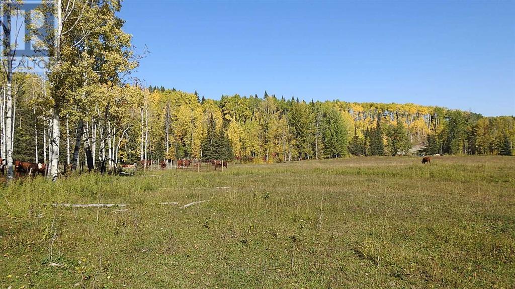 108 Acres Bordering Kananaskis, Rural Foothills County, Alberta  T0L 1K0 - Photo 22 - A2198444
