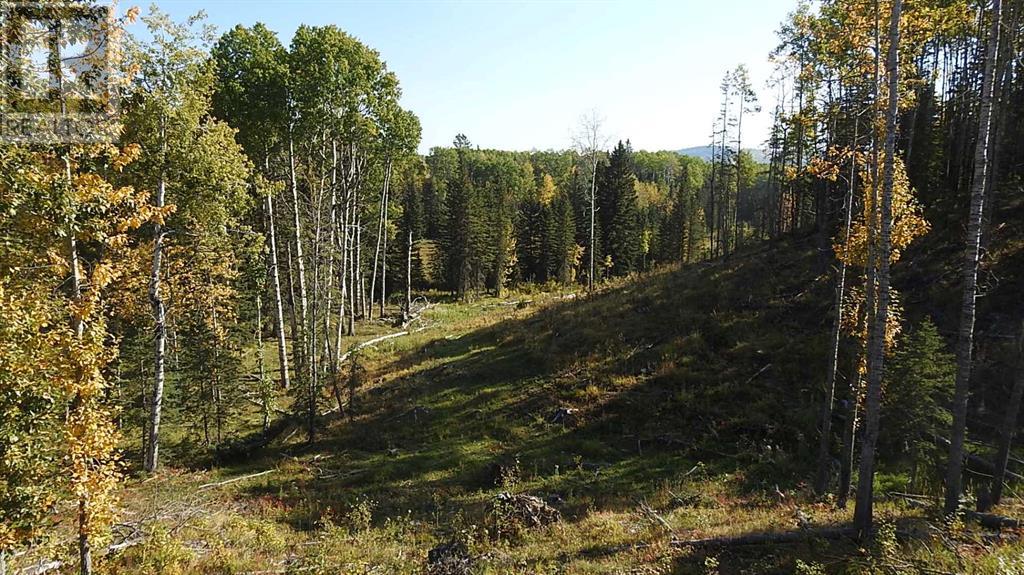 108 Acres Bordering Kananaskis, Rural Foothills County, Alberta  T0L 1K0 - Photo 39 - A2198444