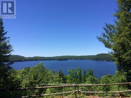 0 Highway 35 Highway, Lake Of Bays, Ontario P0A 1E0 - Photo 48 - X11996909