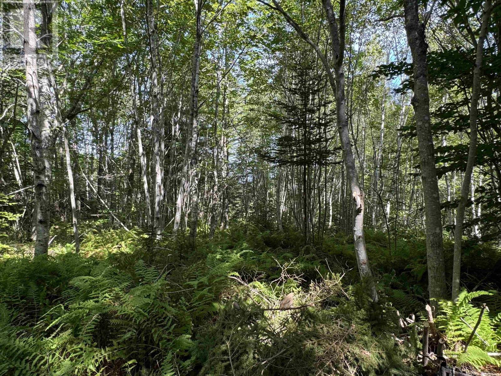 2553 Morse Road, Bridgetown, Nova Scotia  B0S 1C0 - Photo 2 - 202503945