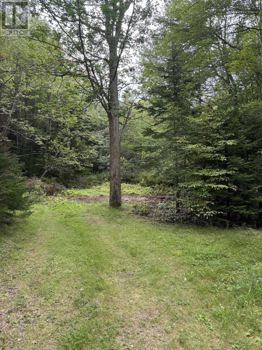 2553 Morse Road, Bridgetown, Nova Scotia  B0S 1C0 - Photo 4 - 202503945