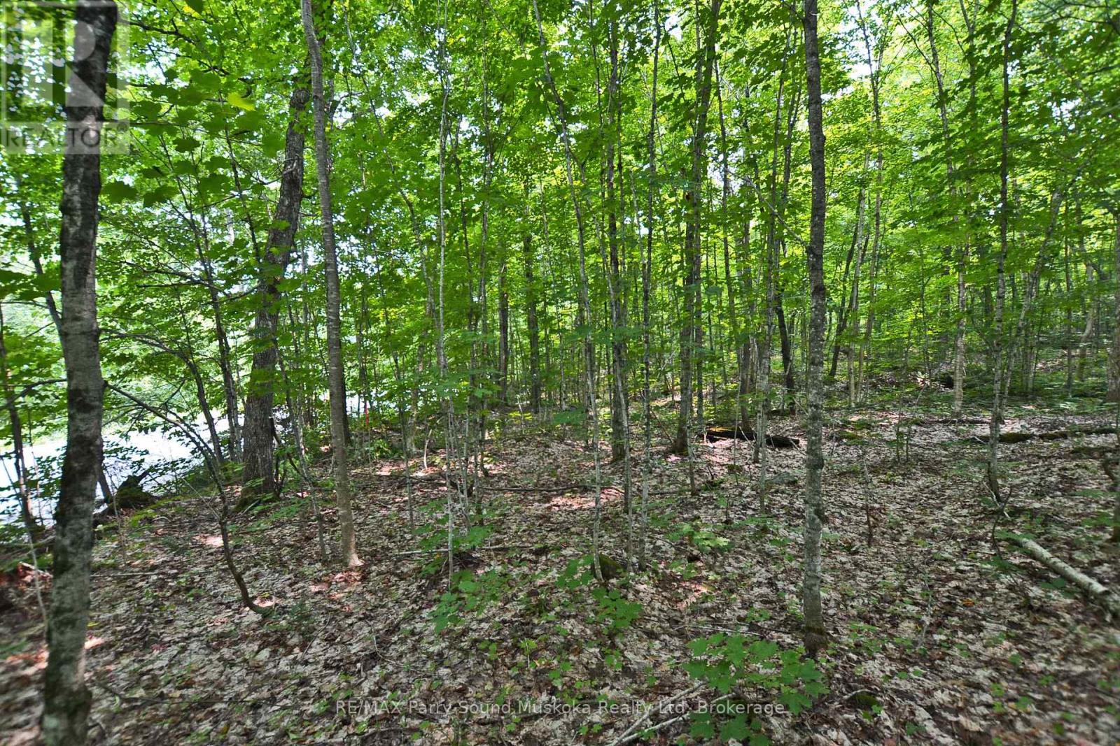 Part 2 - 0 Lyndsey Lane, Mckellar, Ontario  P2A 0B5 - Photo 12 - X11997185