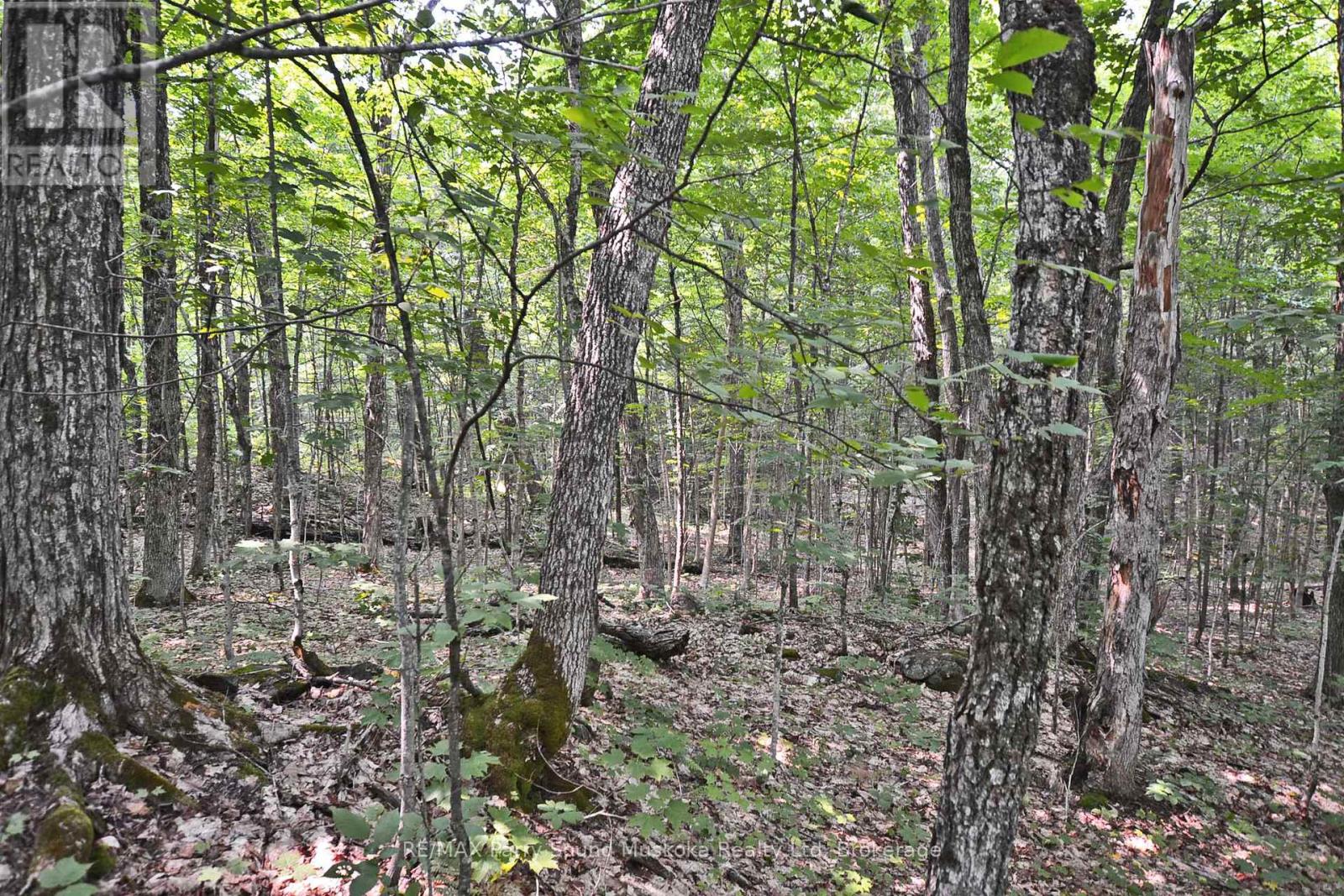 Part 2 - 0 Lyndsey Lane, Mckellar, Ontario  P2A 0B5 - Photo 15 - X11997185