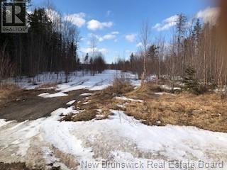 2967 Main Street, Salisbury, New Brunswick  E1G 4N3 - Photo 2 - NB113343