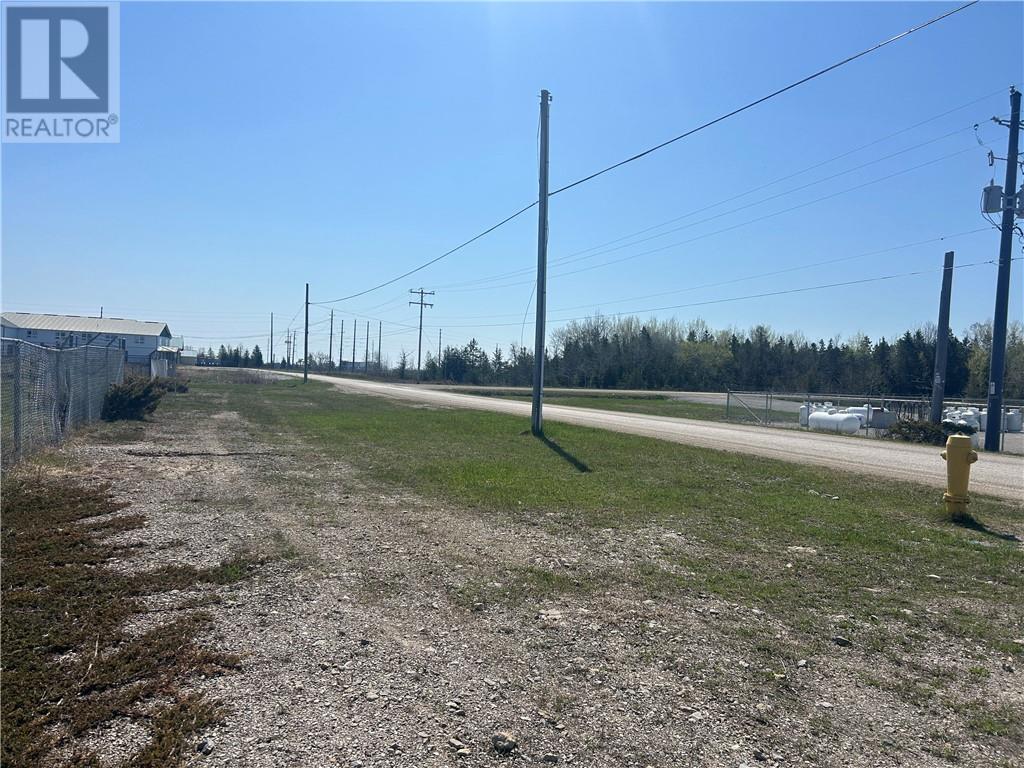 74 Vankoughnet Street E, Little Current, Ontario  P0P 1K0 - Photo 4 - 2120974