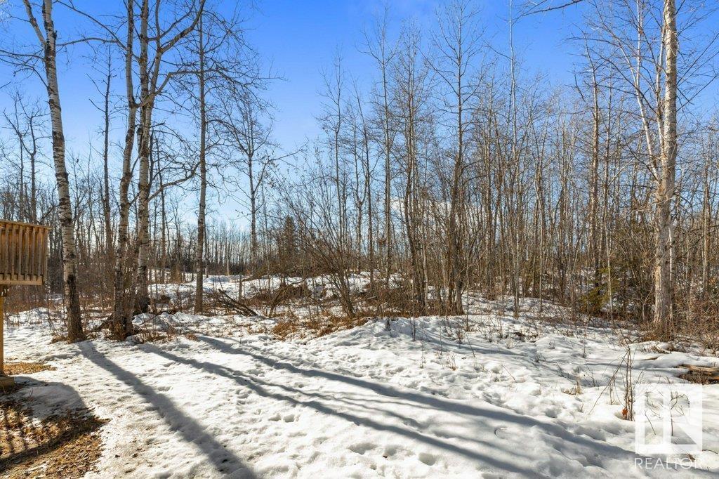 4008 Nakamun Dr, Rural Lac Ste. Anne County, Alberta  T0E 1V0 - Photo 23 - E4423699