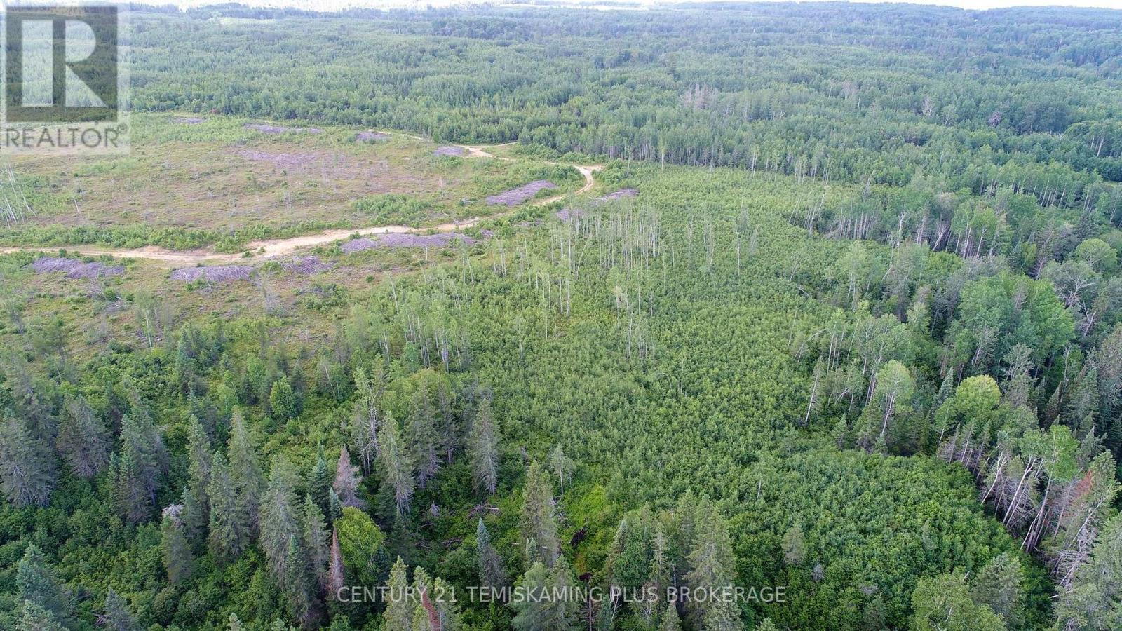 Lot 5 Con 3, Englehart, Ontario  P0J 1H0 - Photo 11 - T11997523
