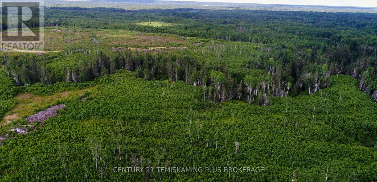 Lot 5 Con 3, Englehart, Ontario  P0J 1H0 - Photo 6 - T11997523