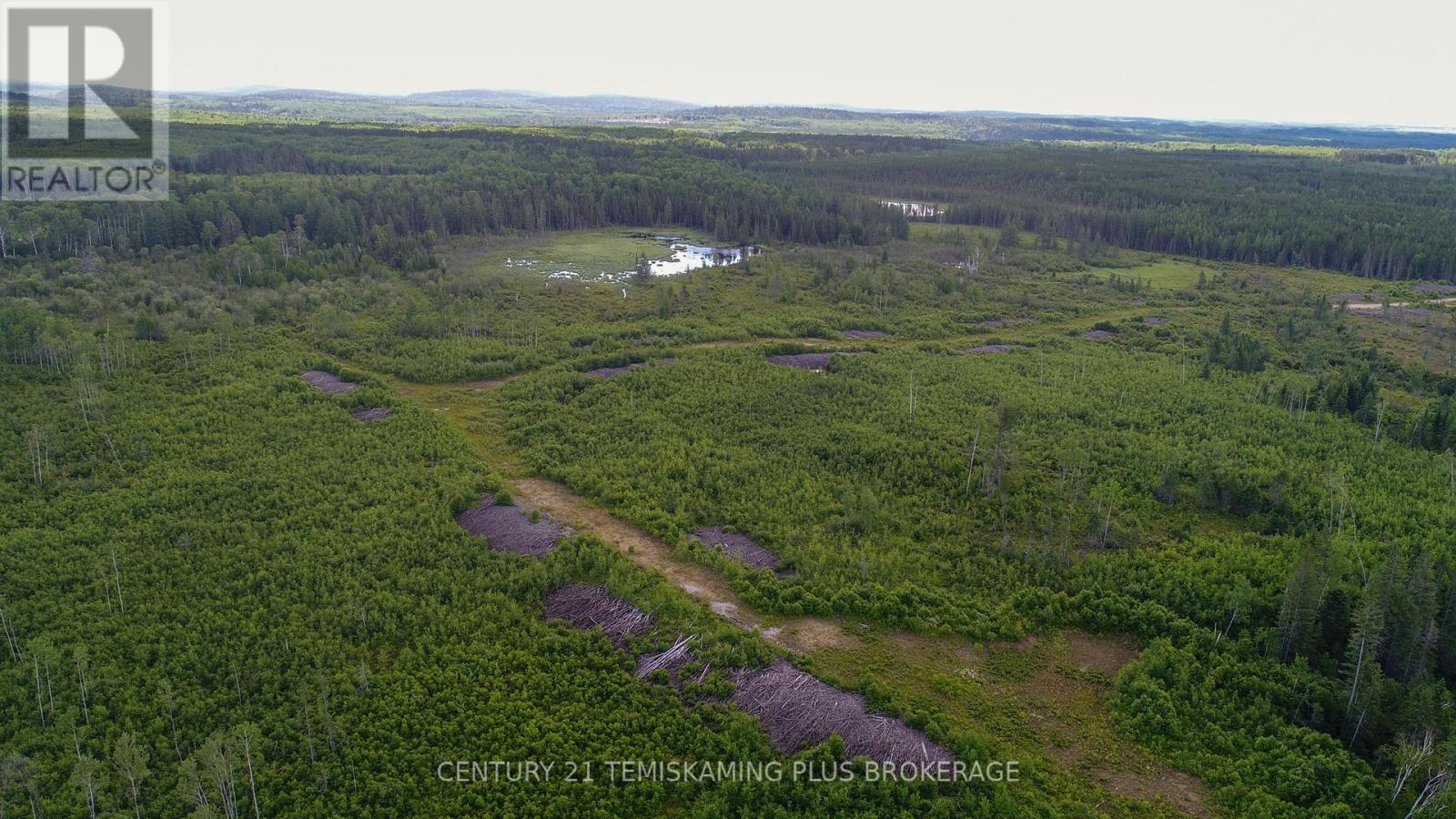 Lot 5 Con 3, Englehart, Ontario  P0J 1H0 - Photo 9 - T11997523