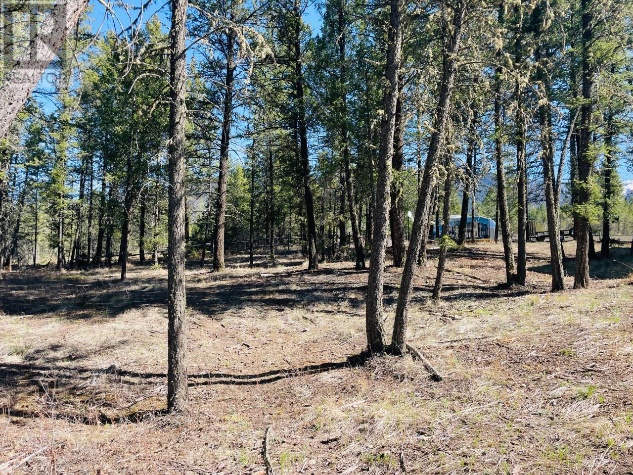 Lot 15 Crooked Tree Place, Fairmont Hot Springs, British Columbia  V0B 1L1 - Photo 18 - 10337233