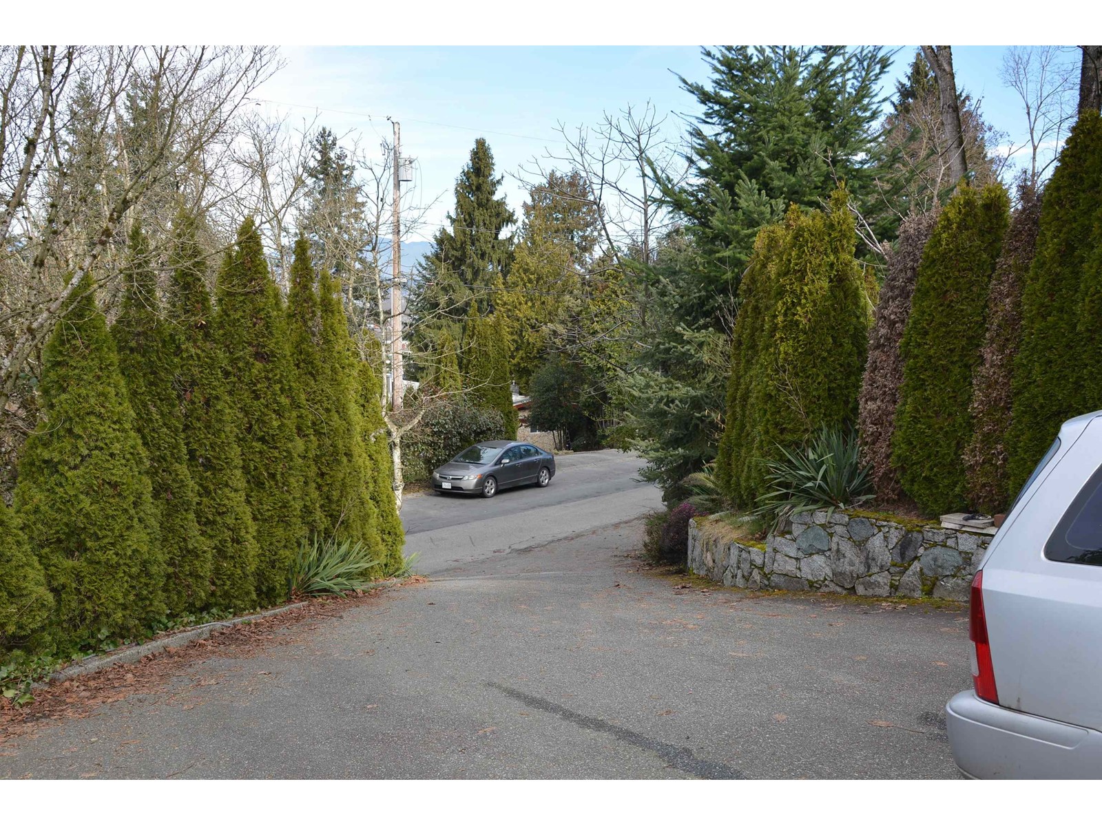 11513 Bailey Crescent, Surrey, British Columbia  V3V 2V2 - Photo 4 - R2971407
