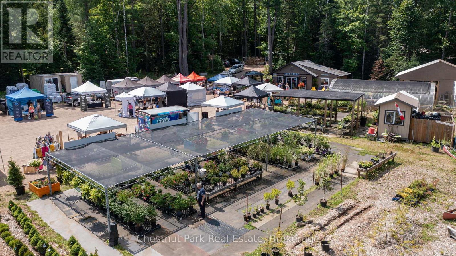 1010 Mary Roberts Road, Lake Of Bays, Ontario  P0B 1A0 - Photo 6 - X11997913