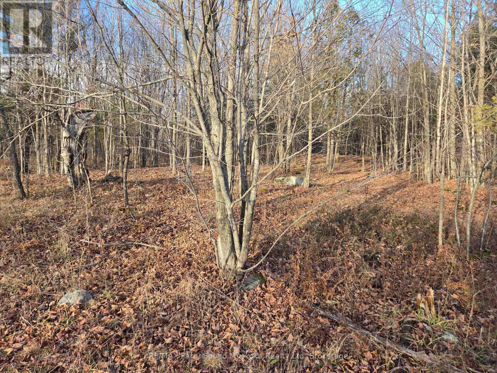 19 Turtle Lane, Mckellar, Ontario  P0G 1C0 - Photo 3 - X11998131