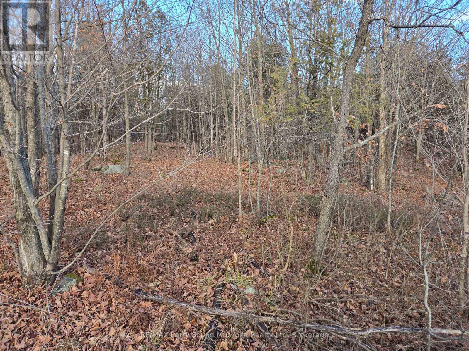 19 Turtle Lane, Mckellar, Ontario  P0G 1C0 - Photo 4 - X11998131
