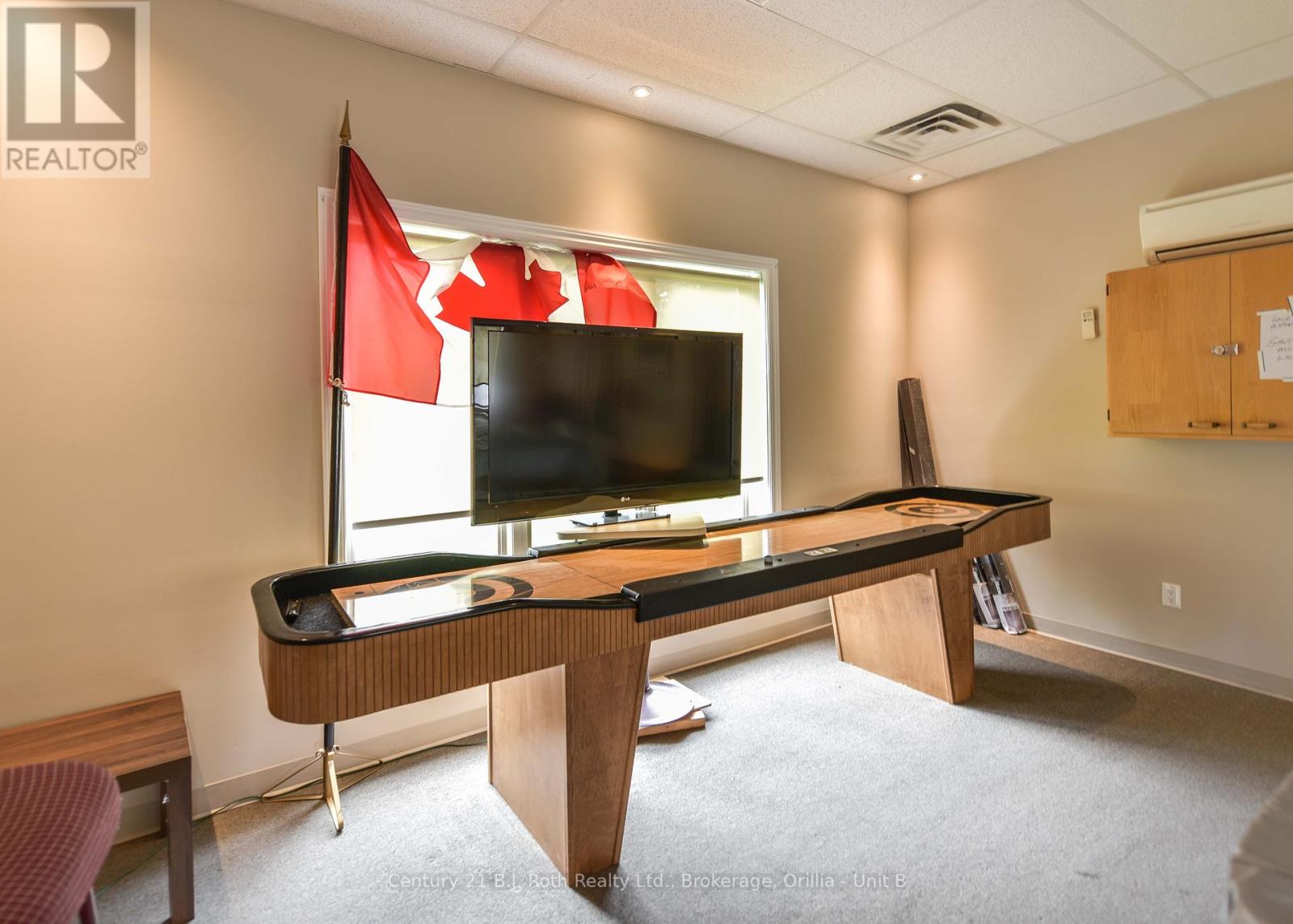 56 Tecumseth Pines Drive, New Tecumseth, Ontario  L0G 1W0 - Photo 43 - N10435476