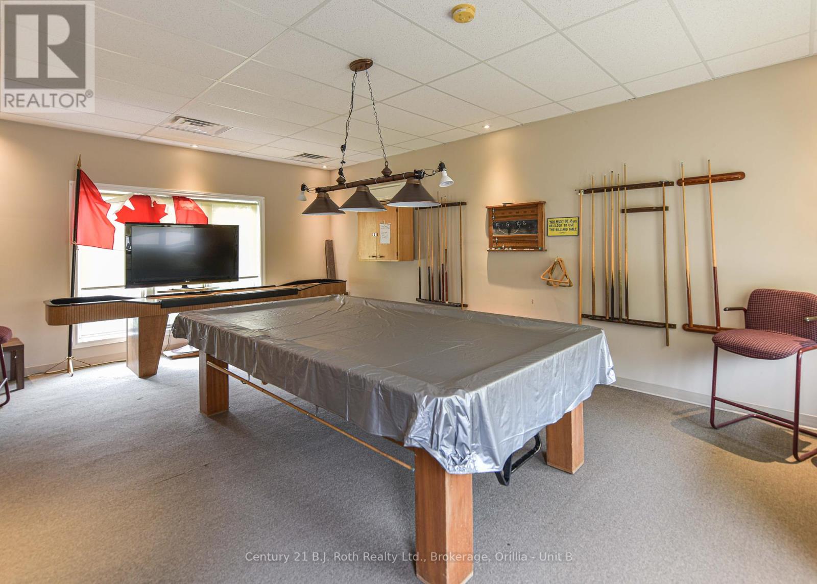 56 Tecumseth Pines Drive, New Tecumseth, Ontario  L0G 1W0 - Photo 44 - N10435476