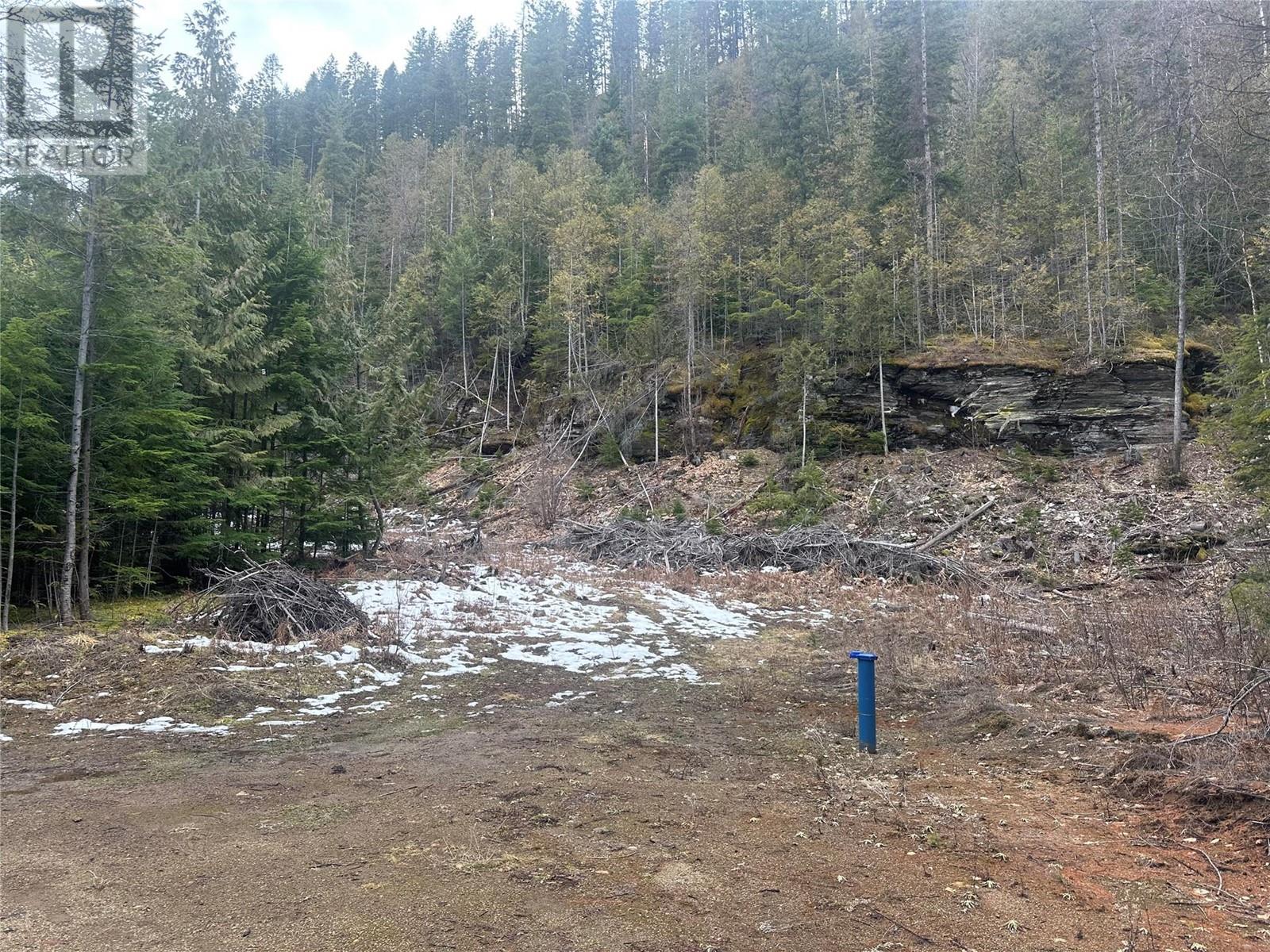 Lot B Highway 31, Kaslo, British Columbia  V0G 1M0 - Photo 9 - 10337083