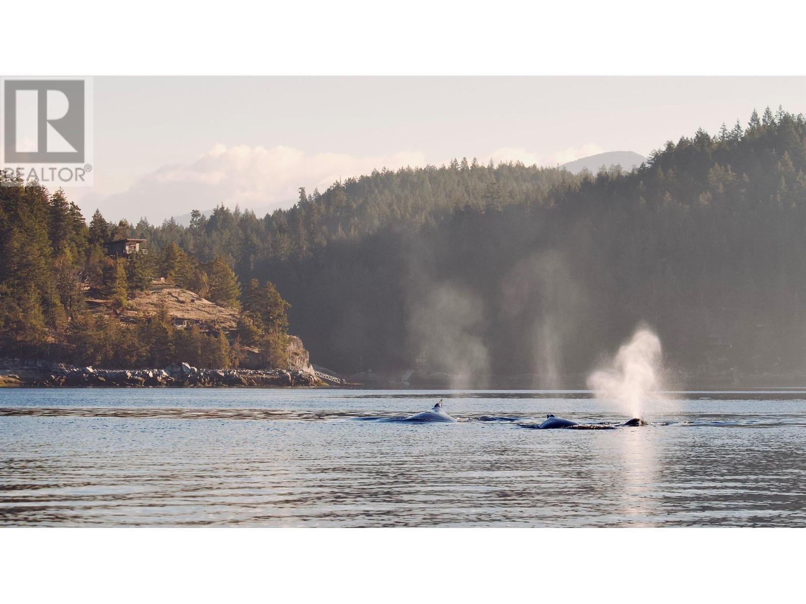 Sl 5b Quarry Bay, Nelson Island, British Columbia  V0N 0V0 - Photo 40 - R2972899