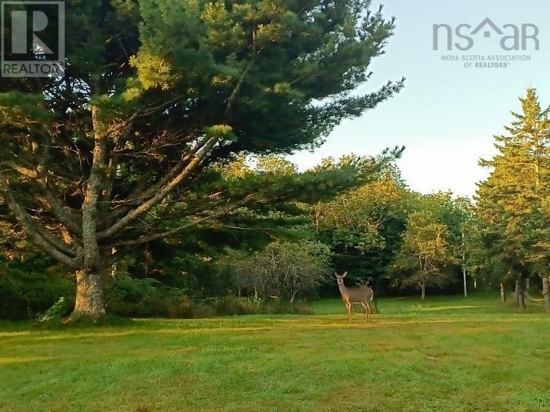 65 Shore Road, Mount Pleasant, Nova Scotia  B0T 1K0 - Photo 45 - 202504010