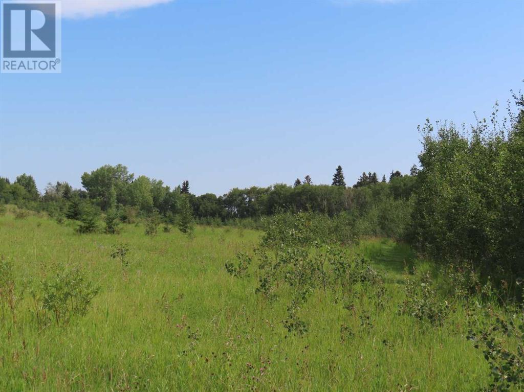 48 Street 53 Avenue, Benalto, Alberta  T0M 0H0 - Photo 4 - A2112431