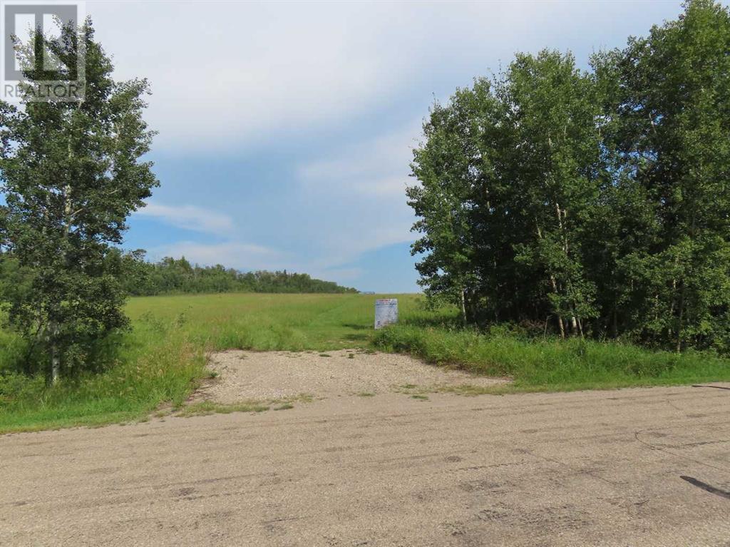 48 Street 53 Avenue, Benalto, Alberta  T0M 0H0 - Photo 7 - A2112431