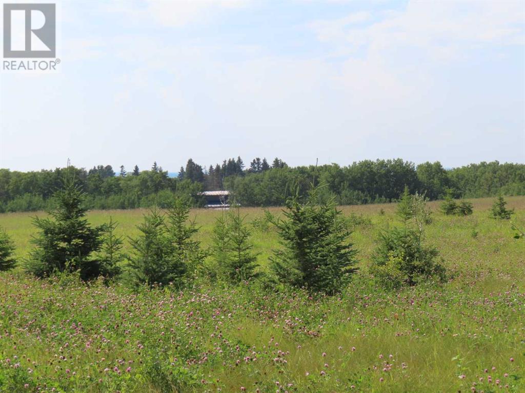 48 Street 53 Avenue, Benalto, Alberta  T0M 0H0 - Photo 11 - A2112431