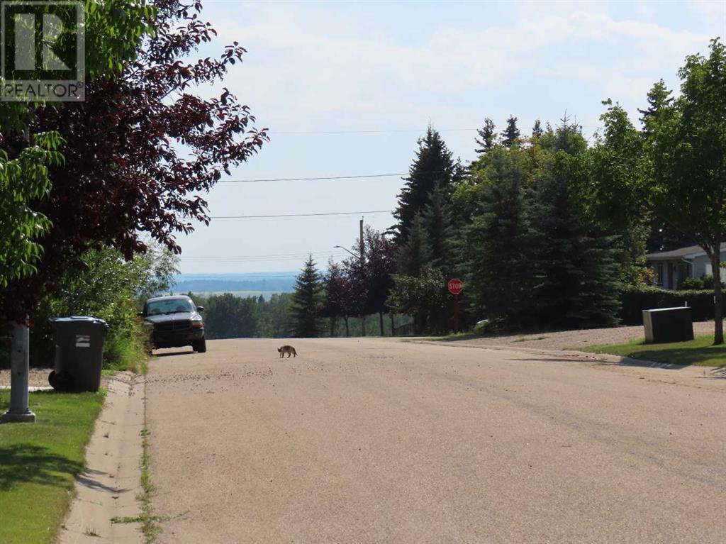 48 Street 53 Avenue, Benalto, Alberta  T0M 0H0 - Photo 20 - A2112431
