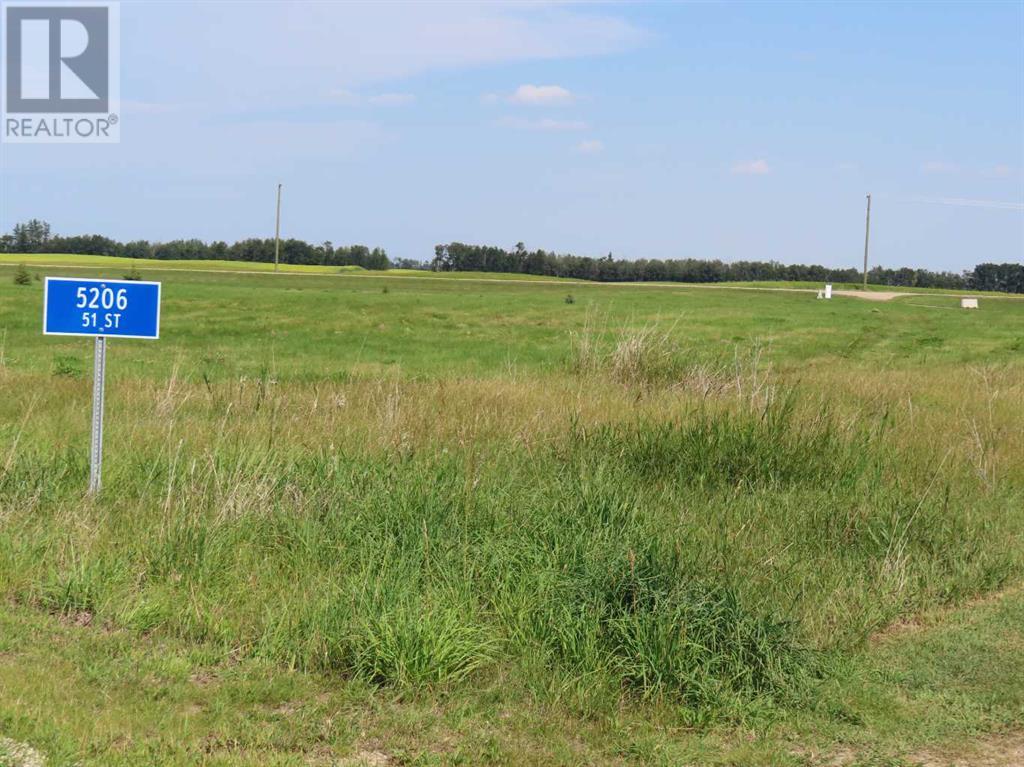 48 Street 53 Avenue, Benalto, Alberta  T0M 0H0 - Photo 14 - A2112431