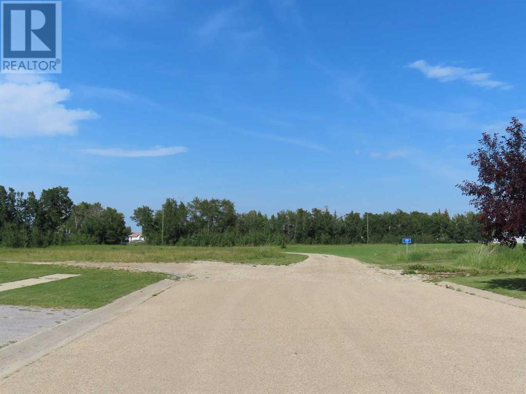 48 Street 53 Avenue, Benalto, Alberta  T0M 0H0 - Photo 22 - A2112431