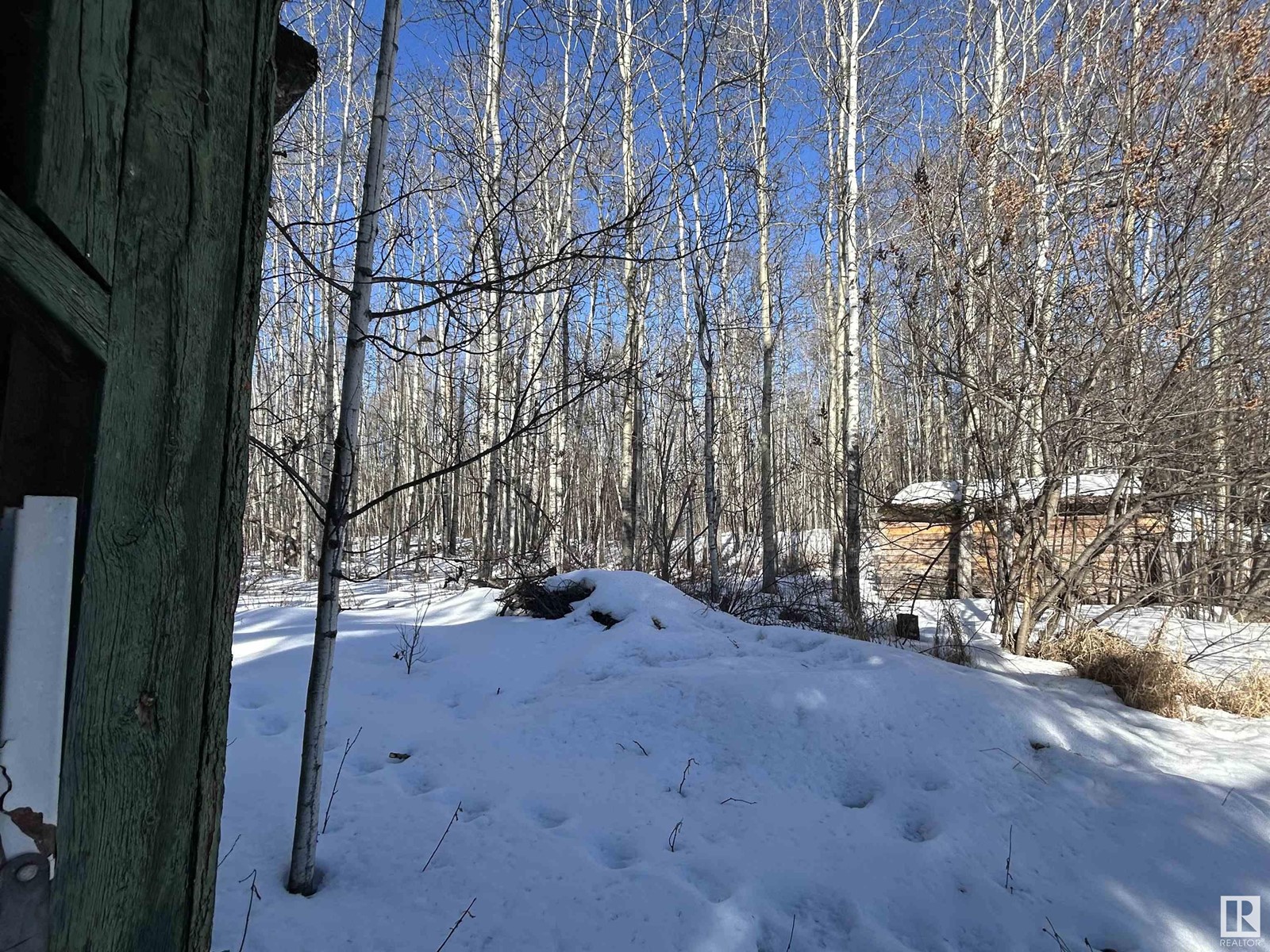 1330 Mission Beach, Rural Leduc County, Alberta  T0C 2P0 - Photo 5 - E4423787