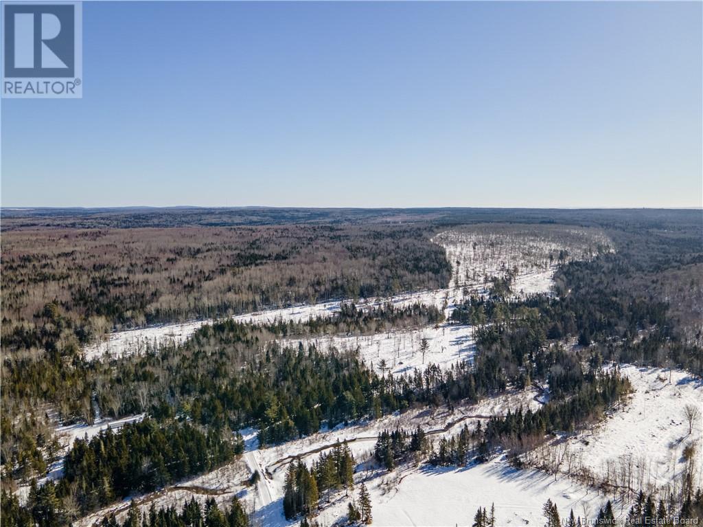 Lot Annindale Ridge Road, Salmon Creek, New Brunswick  E4C 1Y7 - Photo 11 - NB112793