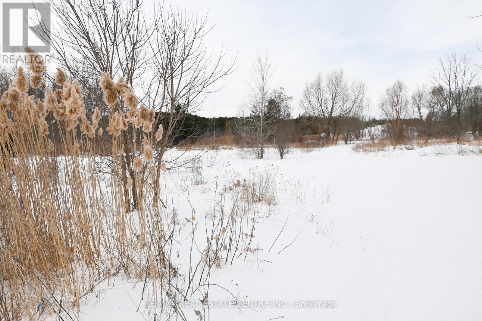 6010 Old Scugog Road, Clarington, Ontario  L0B 1J0 - Photo 25 - E11998760