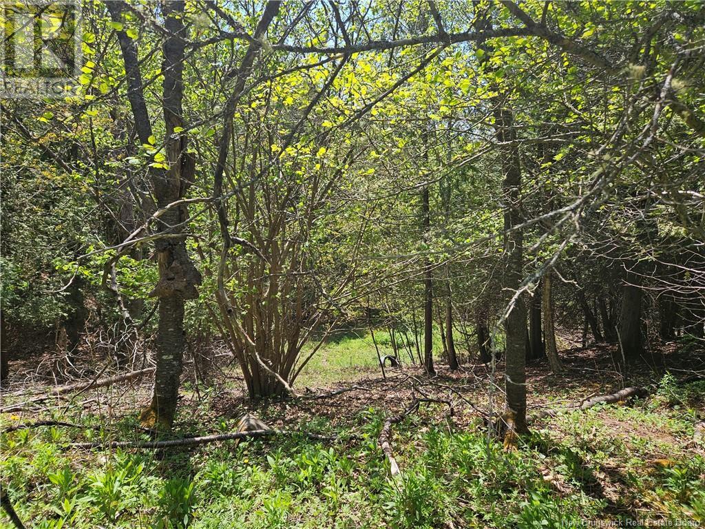 Property at 1870 Sandy Point Road image 2