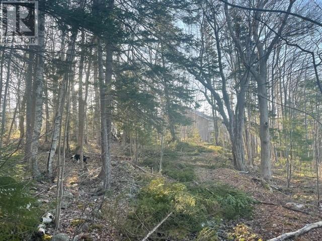 (Unit 1) 130 Everlina Lane, Windsor Junction, Nova Scotia  B2T 0T3 - Photo 14 - 202504041